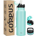 Insulated Water Bottle 24 Oz With Straws