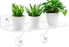 15 Inch Suction Cup Shelf for Plant