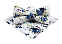 Secdtie Men's Skinny Tie Fashion Causal Cotton Floral Printed Linen Necktie, White Peony, One Size