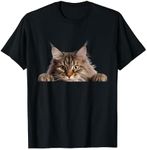 Maine Coon Kitty Pussycat Peeking T