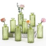 Anquephd Mini Bud Vases As Wedding Centerpieces for Tables,Clear Bud Vases for Flowers,Small Flower Vases Suitable for Birthday Party,Anniversary,Wedding Reception,Baby Shower (Green, 8PCS)