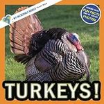 Turkeys!: A My Incredible World Pic