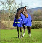 Asker 0g Horse Lightweight Standard