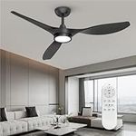 Roomratv Ceiling Fans with Lights a