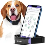 Smart Collar 2.0 by PetPace | AI-Powered Dog Health Monitor & GPS Tracker | Tracks Heart Rate, Pain, Anxiety & Stress, Vet-Backed with Real-Time Alerts & Monitoring - Subscription Required (Medium)