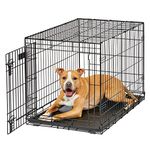 Dog Crate Midwest Life Stages 36" Folding Metal Dog Crate Divider Panel, Floor Protecting Feet, Leak-Proof Dog Tray 36 x 23 x 25 Inches, Intermediate Dog Breed