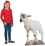 Fun Express - Lamb Nativity Stand u