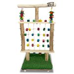 Congo® 3.2 FT/ 97cm Color Net Stand Training Exercise Made with Natural Wood Playful Bird Stand for Conure, Amazon, Senegal, African Grey, Macaw, Cockatoo, Eclectus and Other Birds Piece of 1