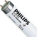Philips T8 Triphosphor Fluorescent 