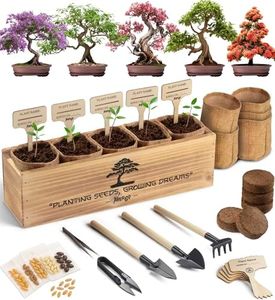 Avergo Bonsai Tree Kit – 5X Unique Japanese Bonzai Trees | Complete Indoor Bonsai Starter Kit for Growing Bonsai Plants with Tools & Planters – Gardening Gifts for Women & Men