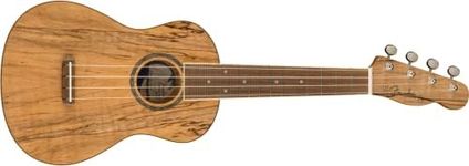 Fender Zuma Exotic Concert Ukulele, Walnut Fingerboard in Spalted Maple