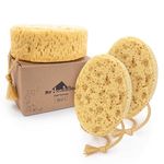 myHomeBody Premium Bath Sponge, Foam Loofah Sponge, Body Sponge for Shower - Large Size, Lots of Lather, Oval, 3 Pack