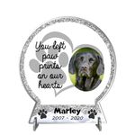 Personalised Pet Memorial Snow Globe - Customised Bereavement Keepsake with Photo - Pet Loss Remembrance and Tribute Gift - Snow Globe for Honouring Your Beloved Pet's Memory (Silver Glitter Effect)