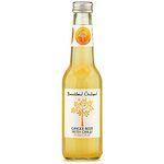 Breckland Orchard | Ginger Beer with Chilli Posh Pop | 275ml x 12 Bottles