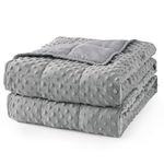 Mr. Sandman Weighted Blanket for Adults, Minky Dots Heavy Blanket for Woman,Man Sleeping/Calm, Soft, Cozy and Cooling Weighted Throw Blankets, Machine Washable, 60 x 80in, 20 Pounds, Grey