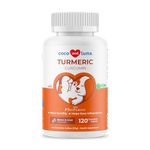 Turmeric For Dogs With Arthritis