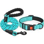 tobeDRI Reflective Nylon Dog Collar – Soft Neoprene Padded, Reflective and Adjustable - Dog Collars for Small Medium Large Dogs