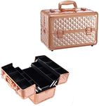 Adson Professional Makeup Box Cosmetics Case Jewelry Organiser Vanity Make Up Storage Box Beauty Train Case Lockable with Keys (ROSE GOLD)