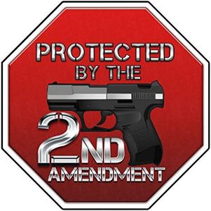 Bargain Max Decals Protected by 2nd Amendment Security Gun Window Laptop Car Sticker 6"