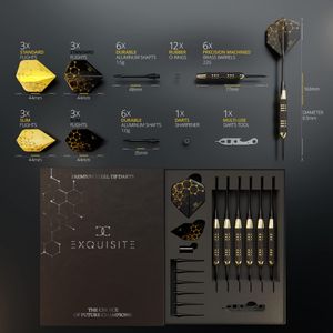 CC-Exquisite Steel Tip Darts Set – Professional Dartboard Accessories
