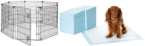 AmazonBasics Foldable Metal Pet Dog Exercise Fence Pen with Gate - 60 x 60 x 30 Inches & Pet Training Pads with Leak-Proof Quick-Dry Design, for Small Dogs and Puppies, Regular, 100 Pieces