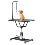 KCT Standard Hydraulic Adjustable Dog Grooming Table