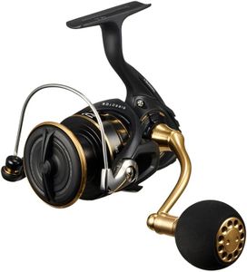 DAIWA Shore Jigging Spinning Reel 23BG SW 4000D-CXH