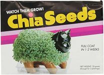 Chia Seed 