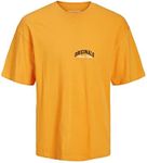 JACK & JONES Men's Jorbrink Studio Tee SS Crew Neck T-Shirt, Iceland Poppy, L