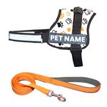 Four Paws Dog Leash For Large Dogs