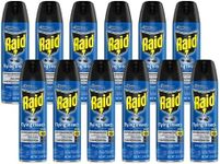 Raid Flying Insect Killer, 15 OZ (P
