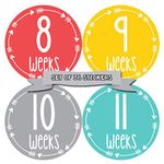 Months In Motion Pregnancy Week by Week Belly Stickers | Large Set of 36 Weekly Photo Sticker