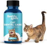 Oral Health for Cats and Dental Car