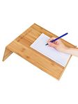 Writing Desk For Adults