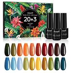 Anself Gel Nail Polish Set 20 Color, Glitter/Nude Soak Off UV Gel Polish Kit With Top Coat & Matte Top Coat & Base Coat, for Nail Art Salon Design & Gift, DIY Manicure Starter Set, 5ml & 23pcs