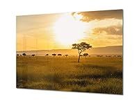 Concept Crystal Glass Printed Picture - Wall Picture behind Tempered Glass SART01D Nature Series