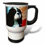 3dRose LLC. tm_981_1 Mugs, White