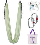 Aerial Yoga Hammock 5.5 Yards Premium Aerial Silk Fabric Yoga Swing for Antigravity Yoga Inversion Include Daisy Chain,Carabiner and Pose Guide (Sage Green)