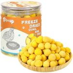 PAWUP Freeze Dried Quail Egg Yolk Pet Treats, Freeze-Dried Pet Food for Dogs, Cats, Pure Fresh Ingredient, 9.2 oz, Rawhide Free, Gluten&Grain Free
