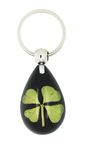 Celtic Lucky Real 4 Four Leaf Clover Good Luck Black Keyring with Gift Box & Guarantee