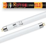 LUCKY HERP T5 UVB 10.0 Reptile Light 24W, 2 Pack 22inch UVA UVB Fluorescent Lamp Tube, UVB Light Bulb for Turtles, Chameleon, Tortoises, Lizard