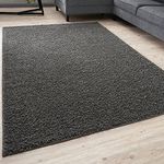 THE RUGS Living Room Rug - Shaggy Soft And Elegant Carpets For The Bedrooms And Kitchen, Easy To Clean, Many Different Sizes (80x150 cm, Dark Grey)