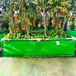 ORGANIC BAZAR 48x24x12 Rectangle Grow Bag with Supporting PVC Pipes for Home Garden | Premium HDPE 350 GSM Raised Bed Green Plant Bags Planter