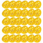 Alvinlite 30pcs Wasp Trap, Flower‑Shaped Wasp and Hornet Traps, Reusable Fatal Funnel Bee Catcher Flying Insects Funnel for Yellow Jackets, hornets