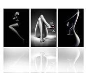 Wall Pictures for Bedroom Fashion Women Black White Paintings 3 Panel Canvas Sexy Girl and Wine Glass Wall Art Contemporary Artwork Home Decor for Living Room Framed Ready to Hang(60x28Inch)