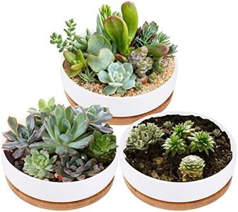 Lawei 3 Pack 6 inch Round Succulent Cactus Planter Pots with Drainage Bamboo Tray - Garden Ceramic Flower Planter Pot