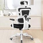 FelixKing Ergonomic Home Office Desk Chair, High Back Breathable Mesh Computer Chair with Lumbar Support, Big and Tall Adjustable Task Chair with Wheels Headrest and Armrests (White)