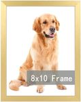 RUN HELIX 8x10 Picture Frame Gold,Simple Designed Photo Frame for Photo Poster Canvas Certificate Document Display Horizontally or Vertically Wall Gallery(1Pack)