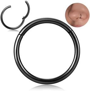 Afftiny Black Nose Rings Hoops for Women Hypoallergenic Titanium Surgical Stainless Steel Cute Hinged Clicker 16g 10mm Small