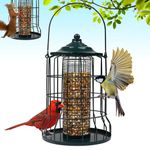 iPetba Wild Bird Feeder Squirrel Proof for Outdoors Hanging, All Metal Bird Seed Feeders for Outside Winters for Cardinals Capacity Goldfinch